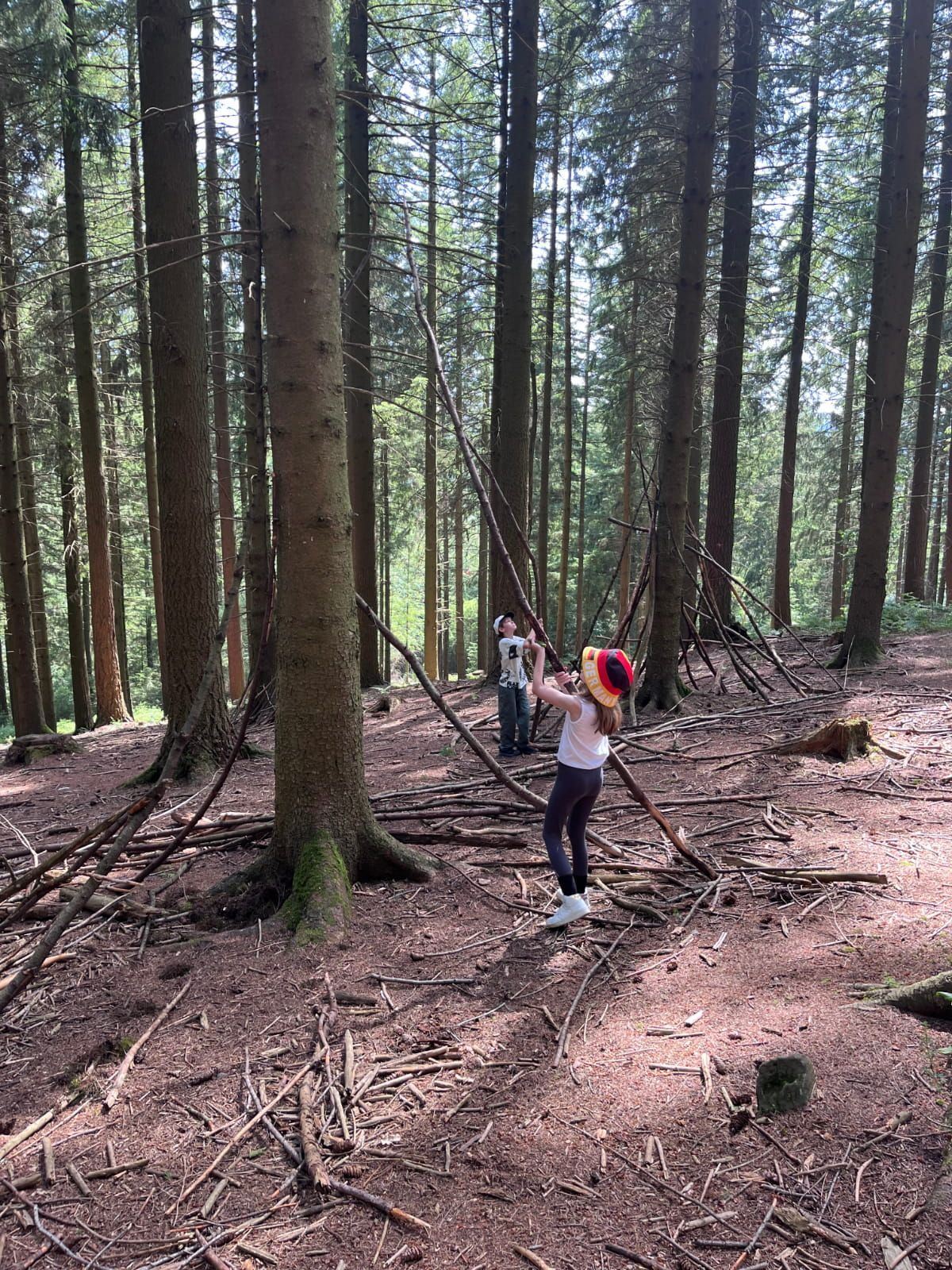 Kinder bauen einen Unterschlupf im Wald
