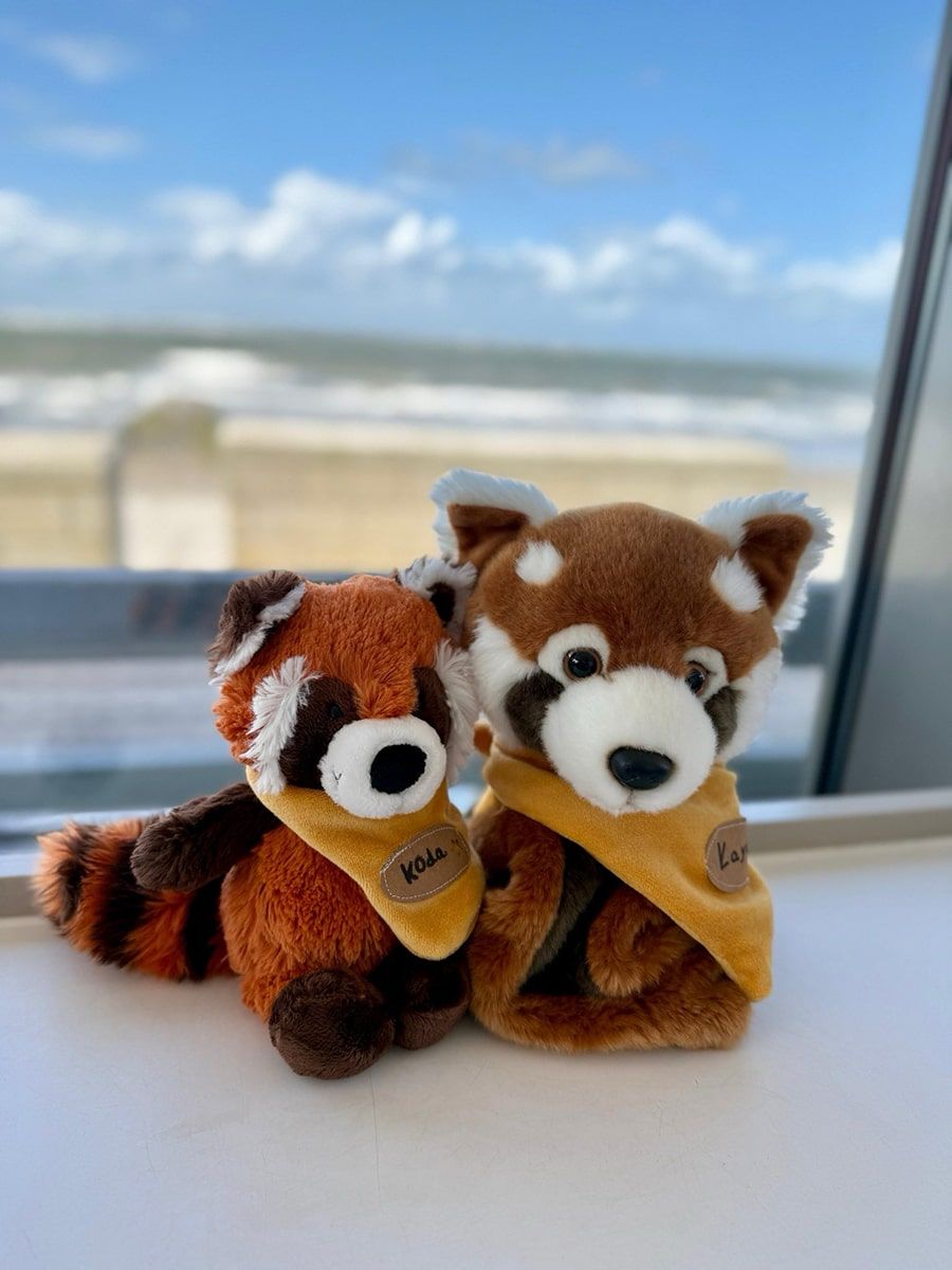 Klassentiere Kaya und Koda