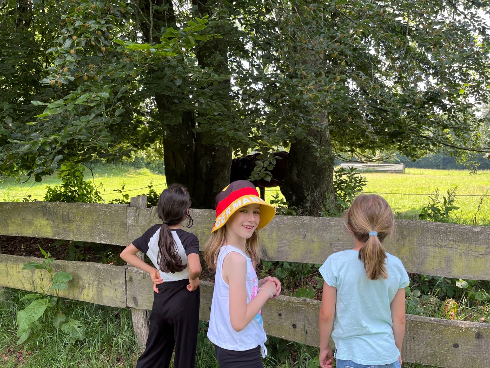 Drei Kinder betrachten ein Tier auf einer Wiese