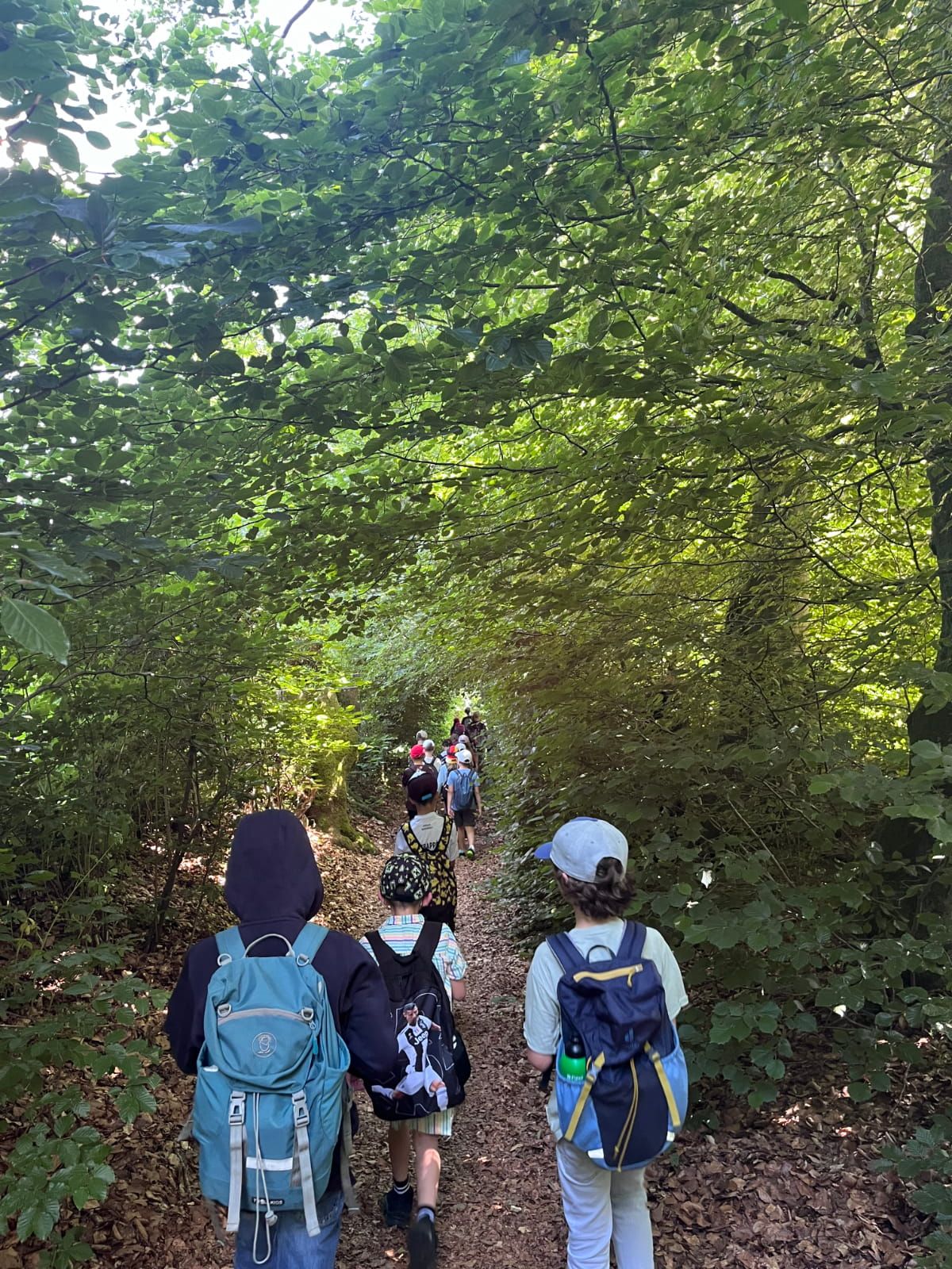 Schüler:innen spazieren auf einem Waldweg