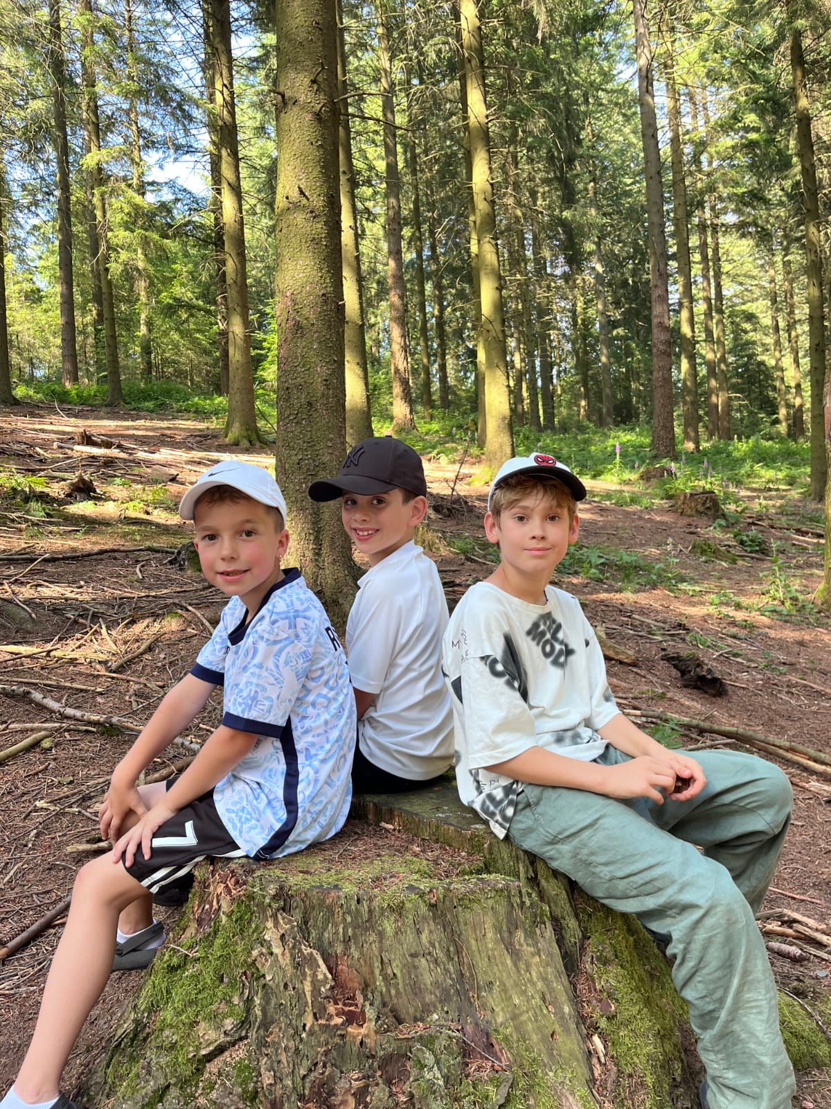 Drei Kinder sitzen auf einem Baumstumpf