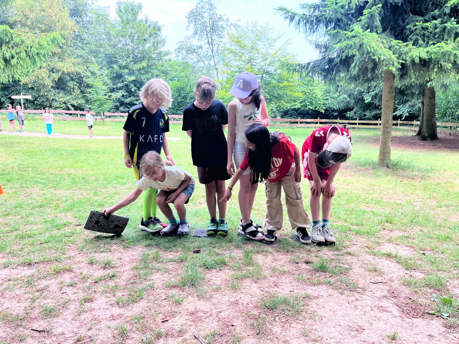 Sechs Kinder spielen auf einer Wiese