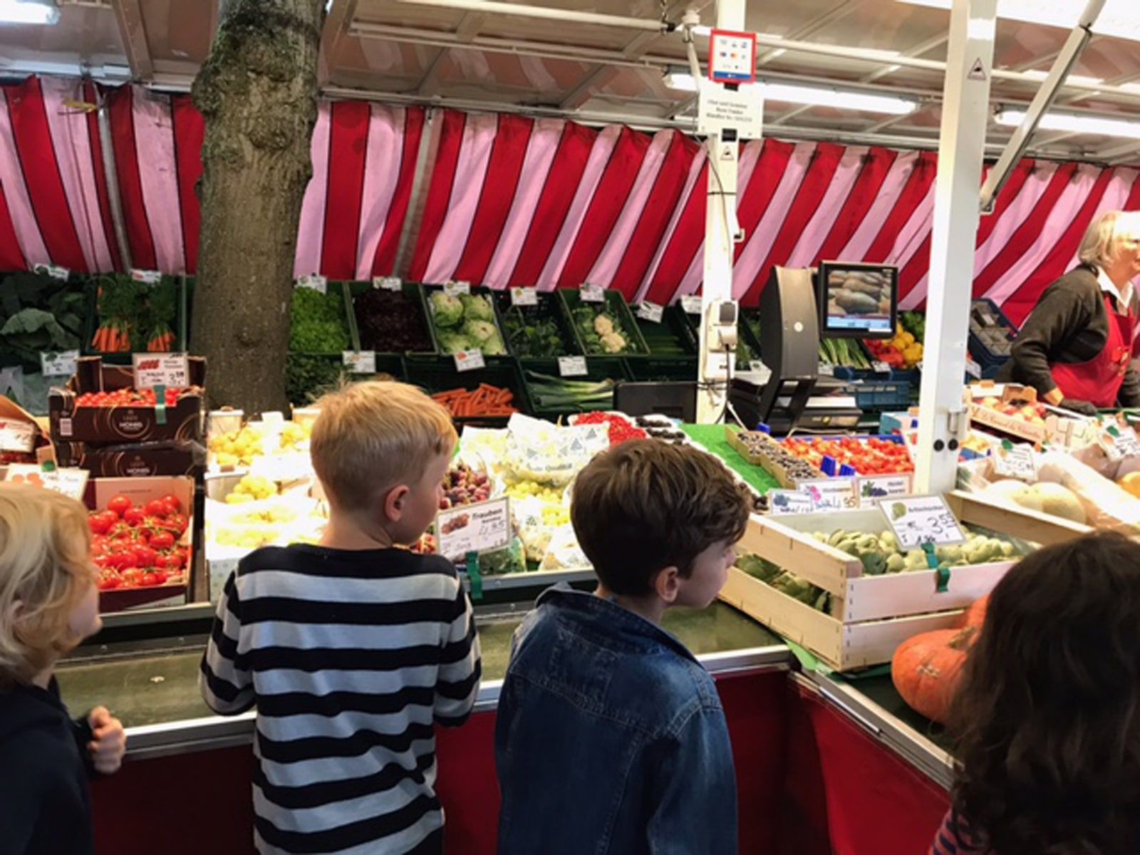 Aktion Obstsalat oder Wie wird man Frühstückskönig?  - 4