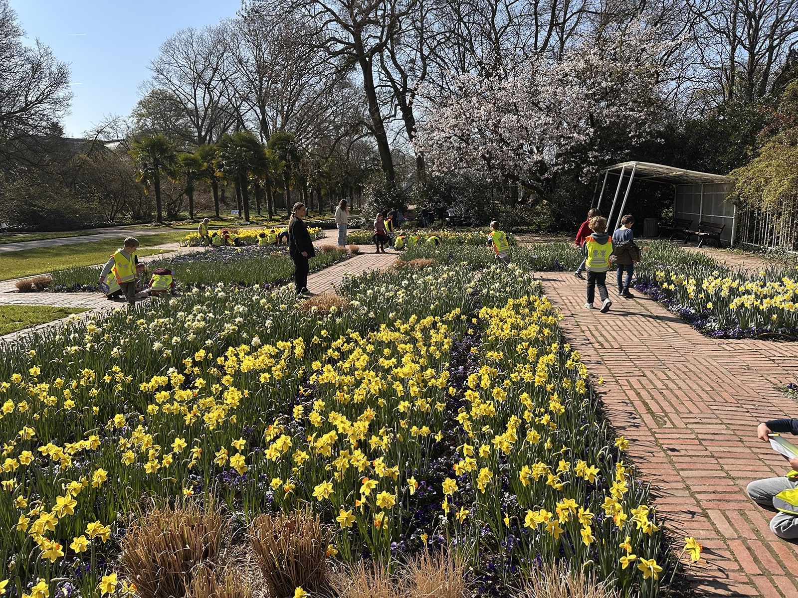 Kinder in der Flora betrachten Blumen und zeichnen diese ab