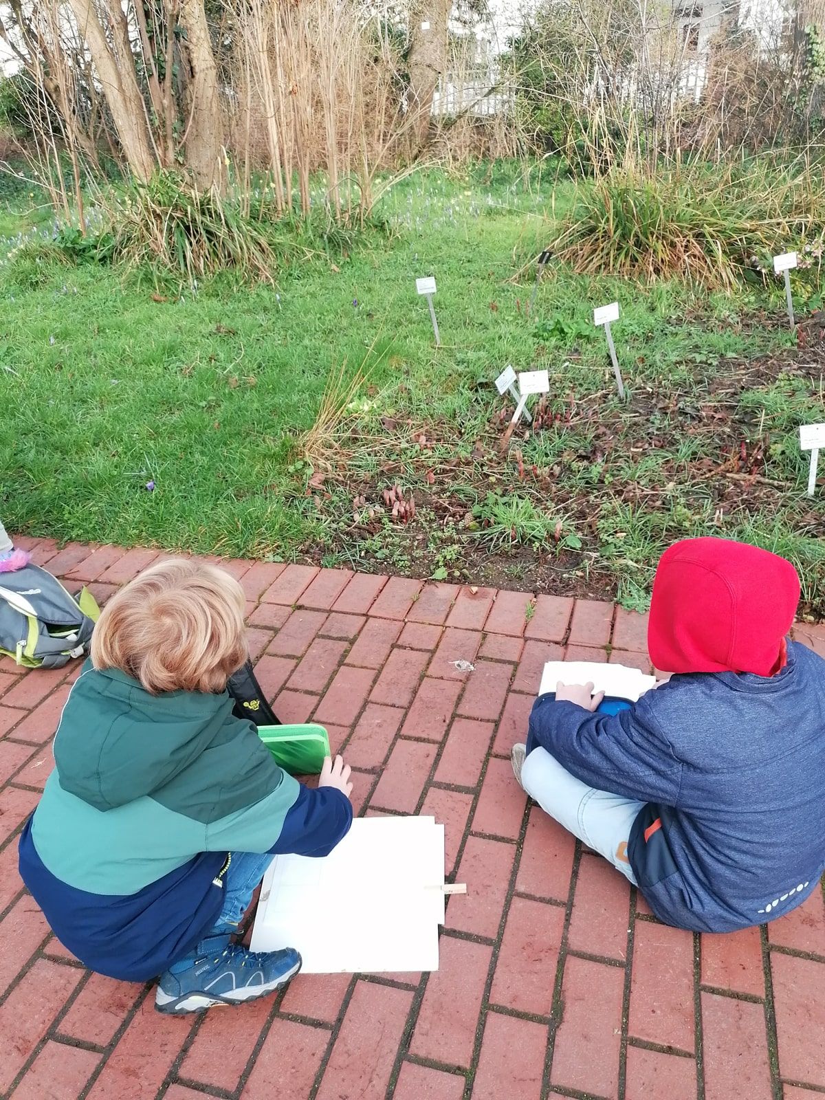 Zu Besuch in der Flora - 2