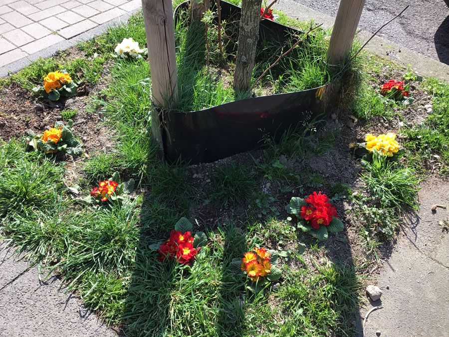 Ich lieb den Frühling - 4