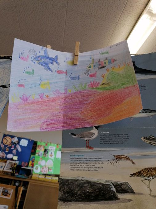 Projektwoche zum Thema Wasser - 6