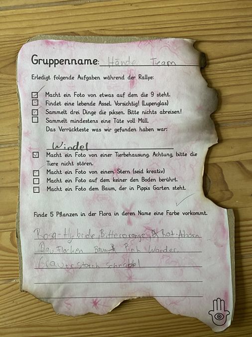 Erdmännchen auf Schnitzeljagd - 5