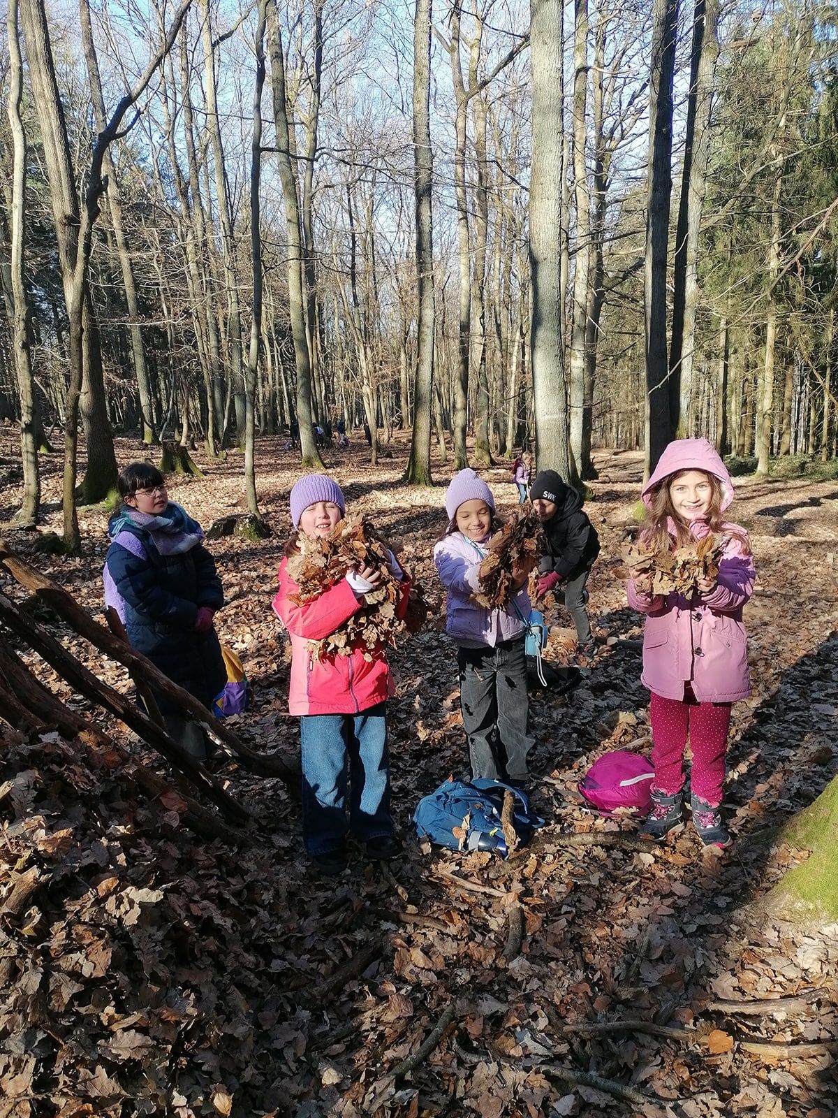 Kinder sammeln Laub im Wald