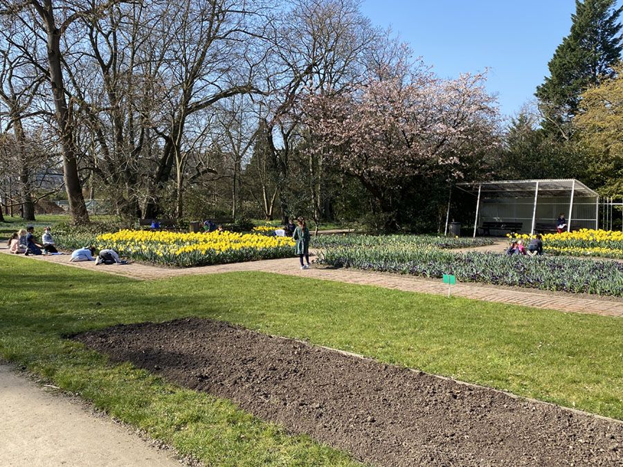 Ich lieb den Frühling - 5