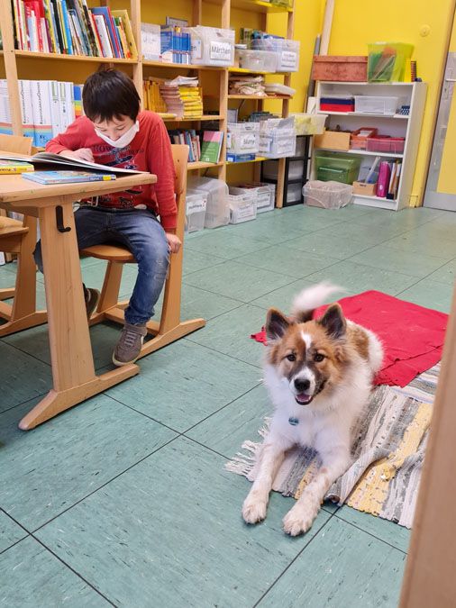 Lesehund an der GGS - 5