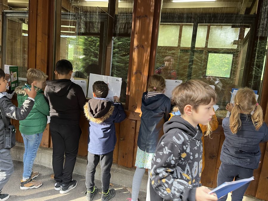 Zu Besuch in der Zooschule - 2