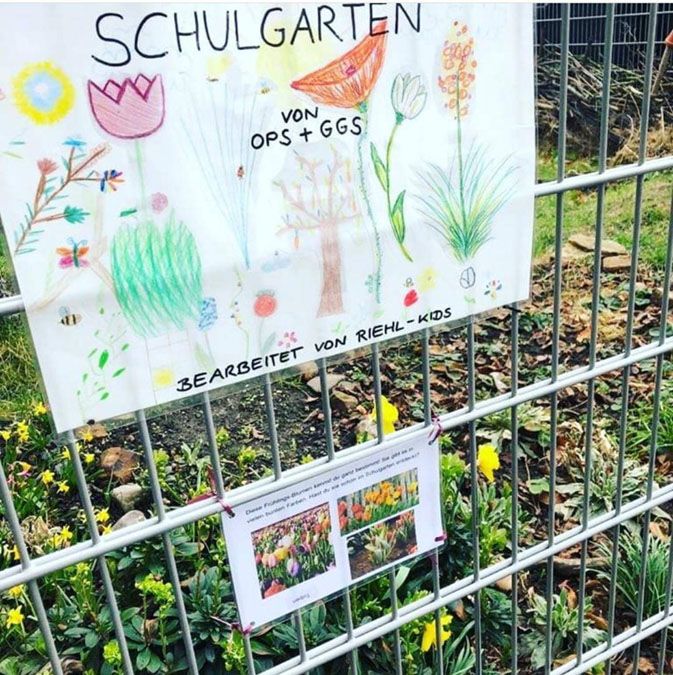 Der Schulgarten blüht auf - 2