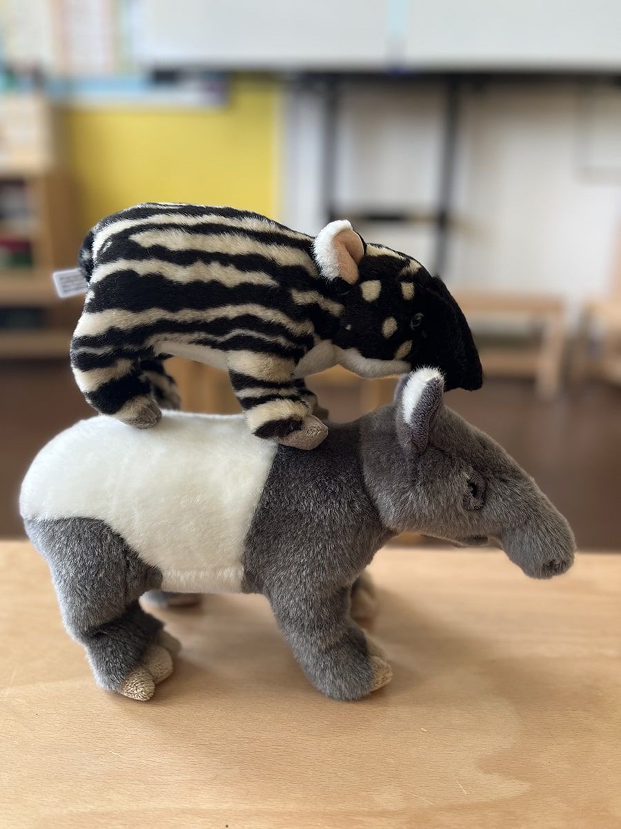 Klassentiere Tilly und Tamo