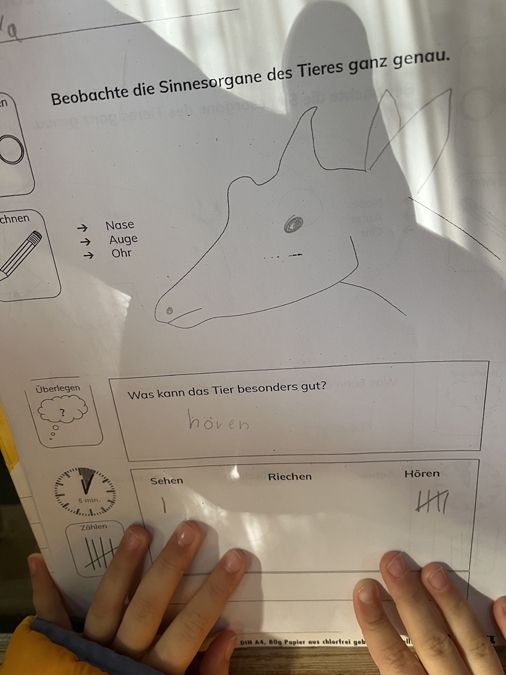 Zu Besuch in der Zooschule - 1