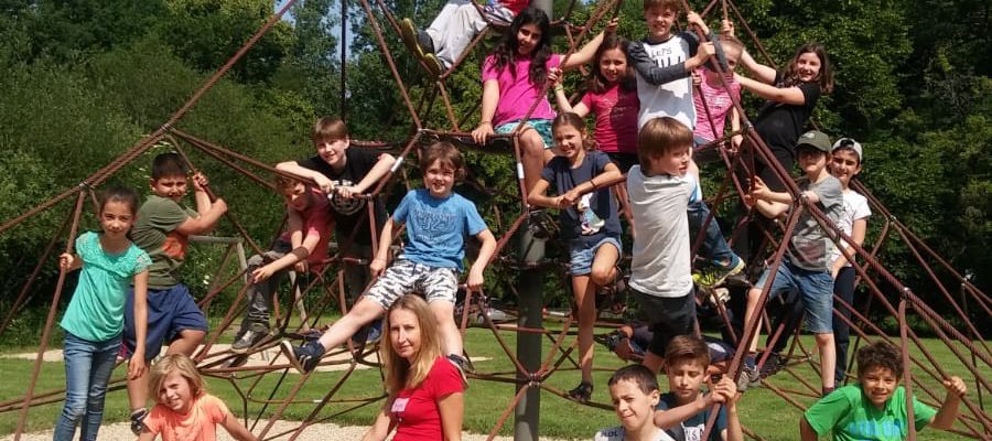 Klassenfahrt der Gorillas und Orang-Utans