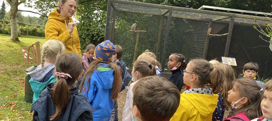 Otter, Robben und Pinguine besuchen die Waldschule