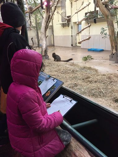 Endlich wieder Zooschule! - 1