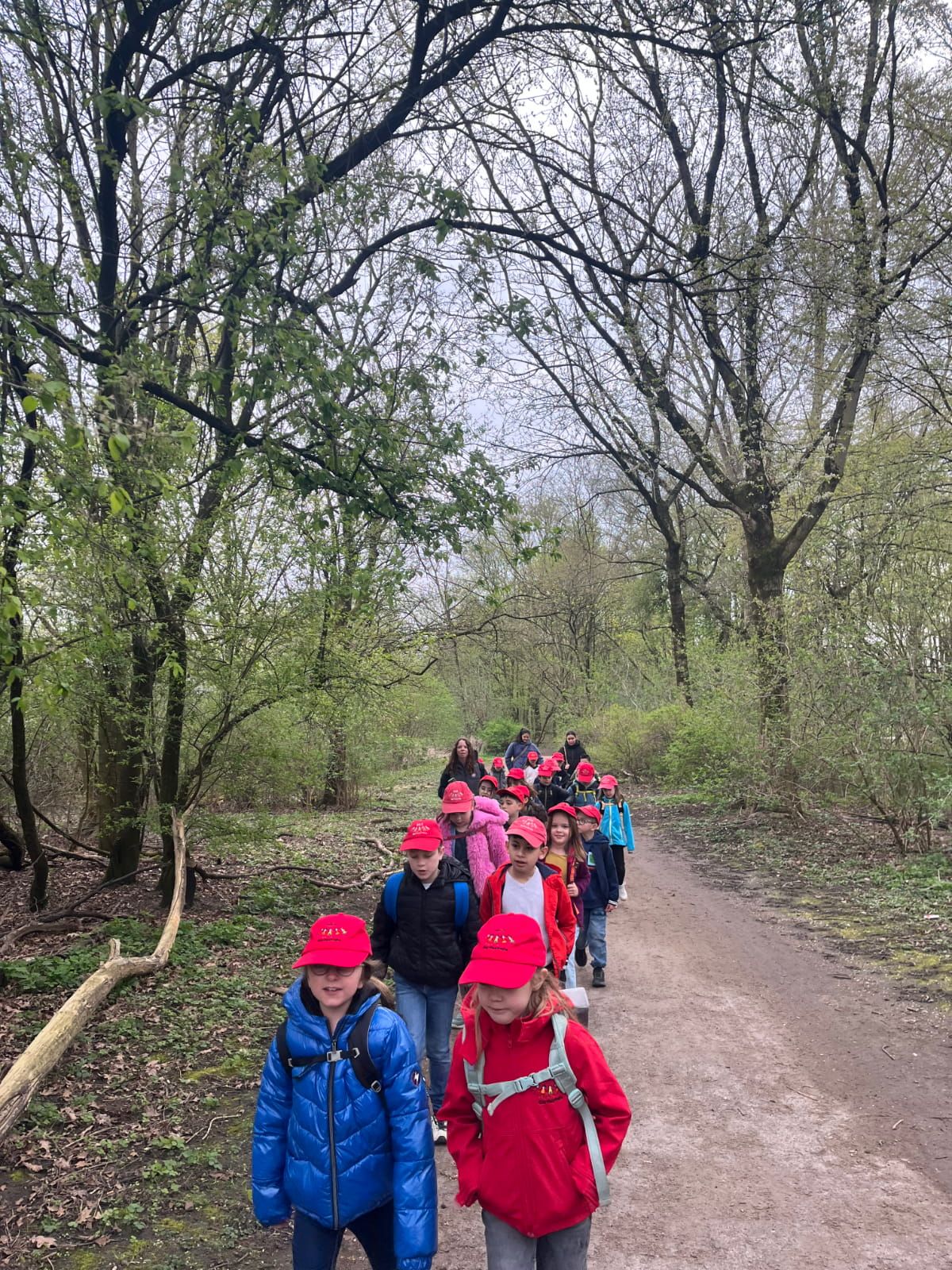 Schulkinder gehen durch einen Park