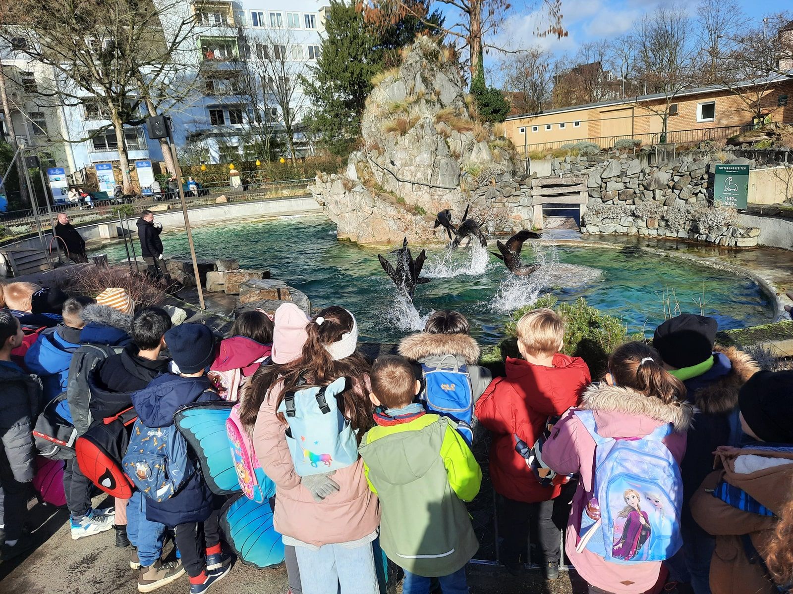 Zooschulbesuch der Haie - 4