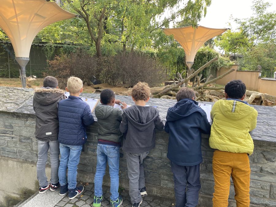 Zu Besuch in der Zooschule - 7