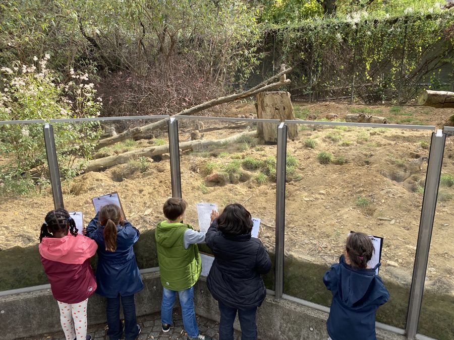Zu Besuch in der Zooschule - 8