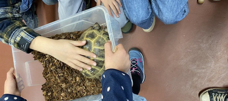 Tierischer Besuch bei den Robben