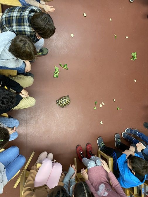 Tierischer Besuch bei den Robben - 2