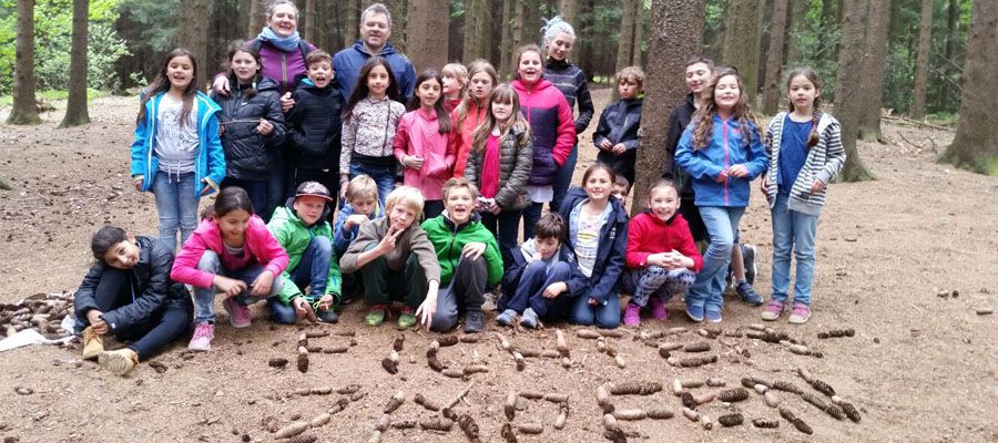 Eulen, Füchse und Eichhörnchen auf Klassenfahrt!