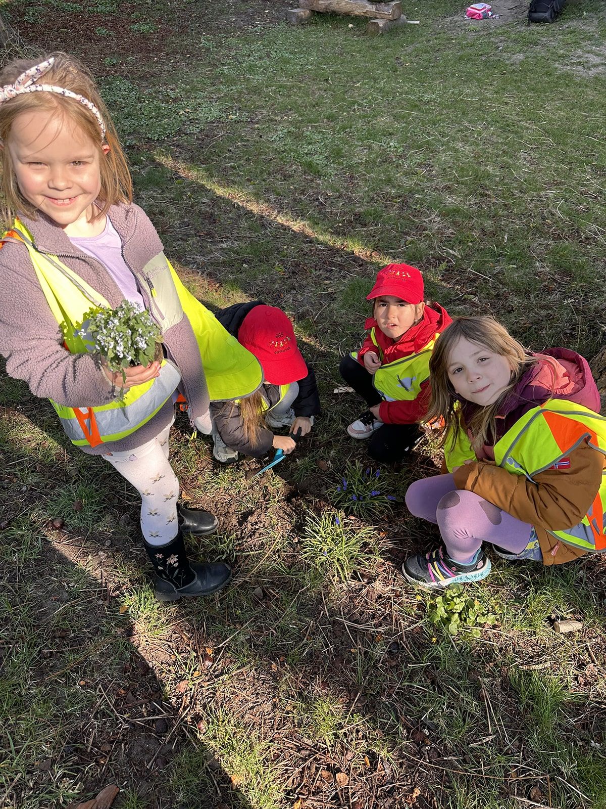 Vier Kinder betrachten Blumen auf der Wiese
