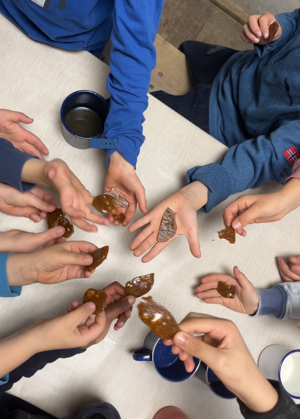 Otter, Pinguine und Robben auf Klassenfahrt - 3