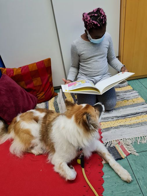 Lesehund an der GGS - 1