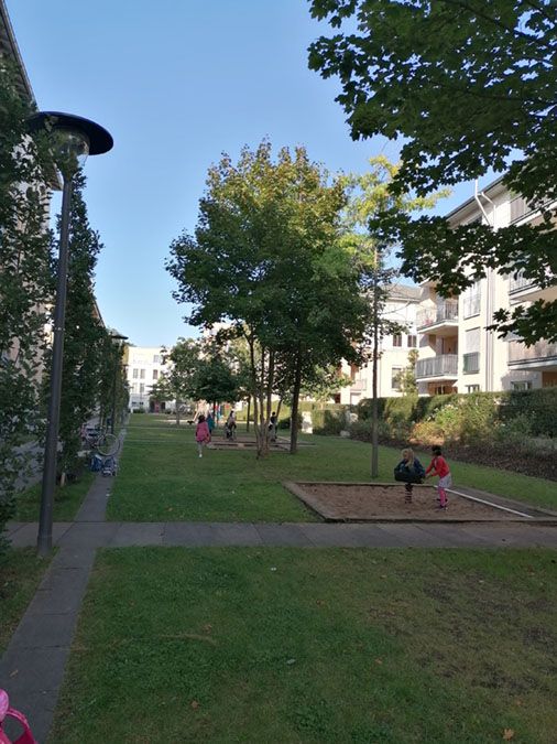 Verkehrswoche der Luchse und Salamander - 3