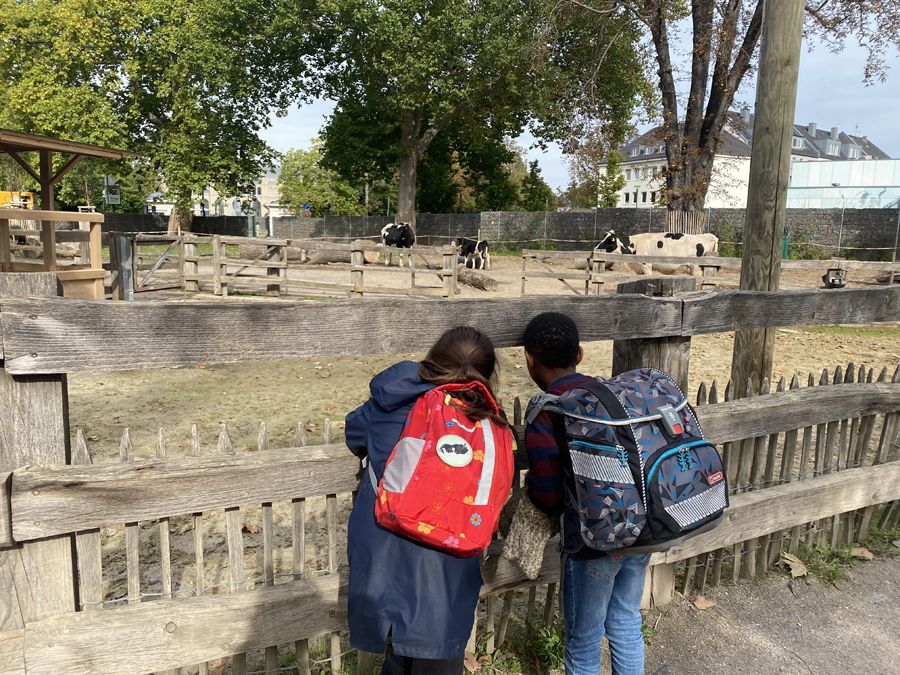 Zu Besuch in der Zooschule - 10