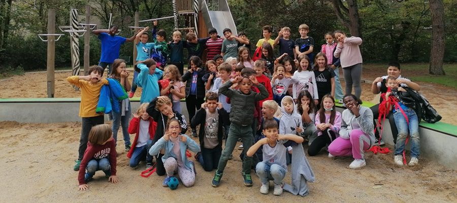 Salamander und Robben auf dem Zebraspielplatz