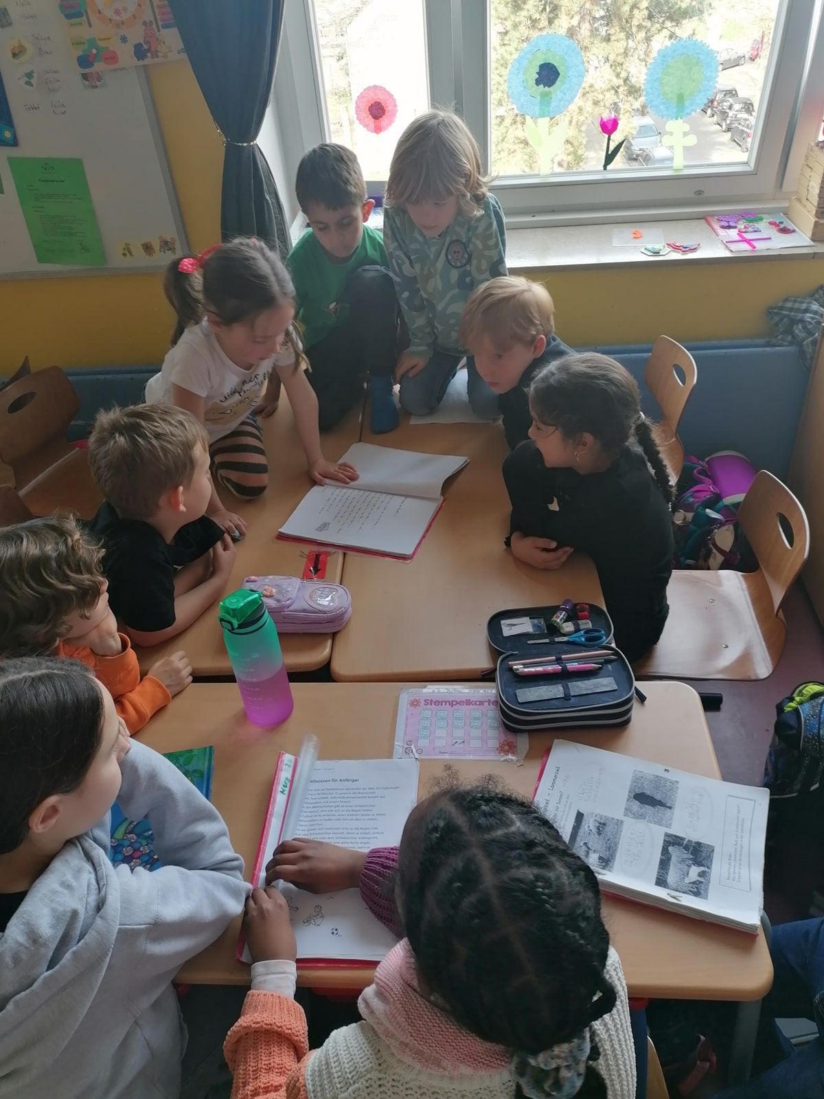 Robben und Delfine lesen - 7