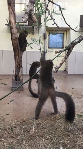 Endlich wieder Zooschule! - 4