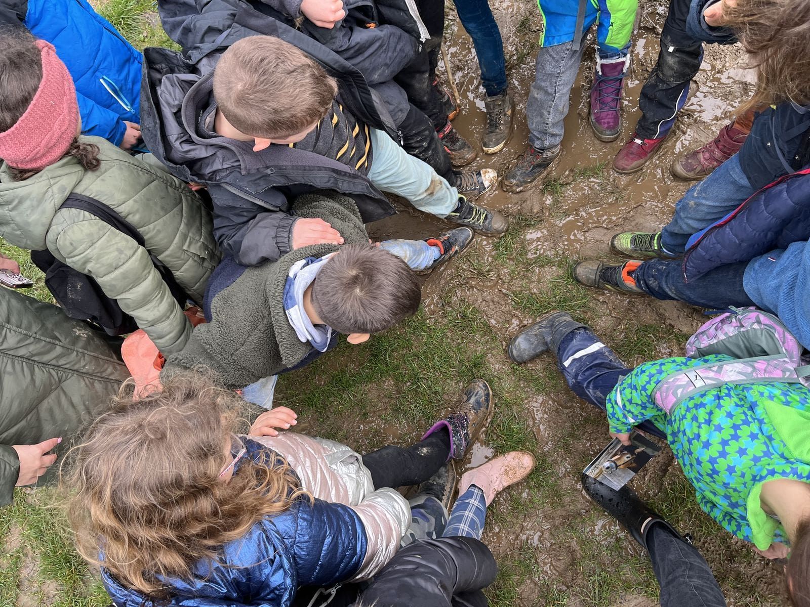 Otter, Pinguine und Robben auf Klassenfahrt - 1