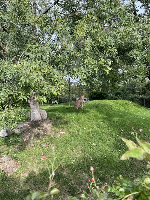 Zu Besuch in der Zooschule - 4