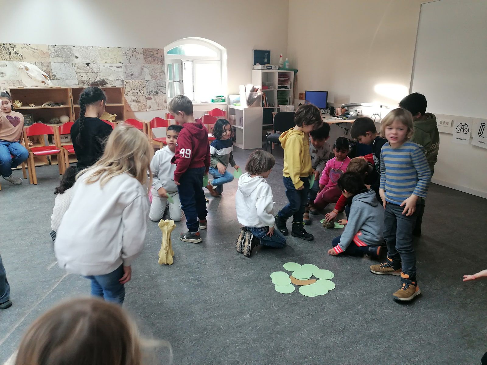 Delfine zum ersten Mal in der Zooschule - 5
