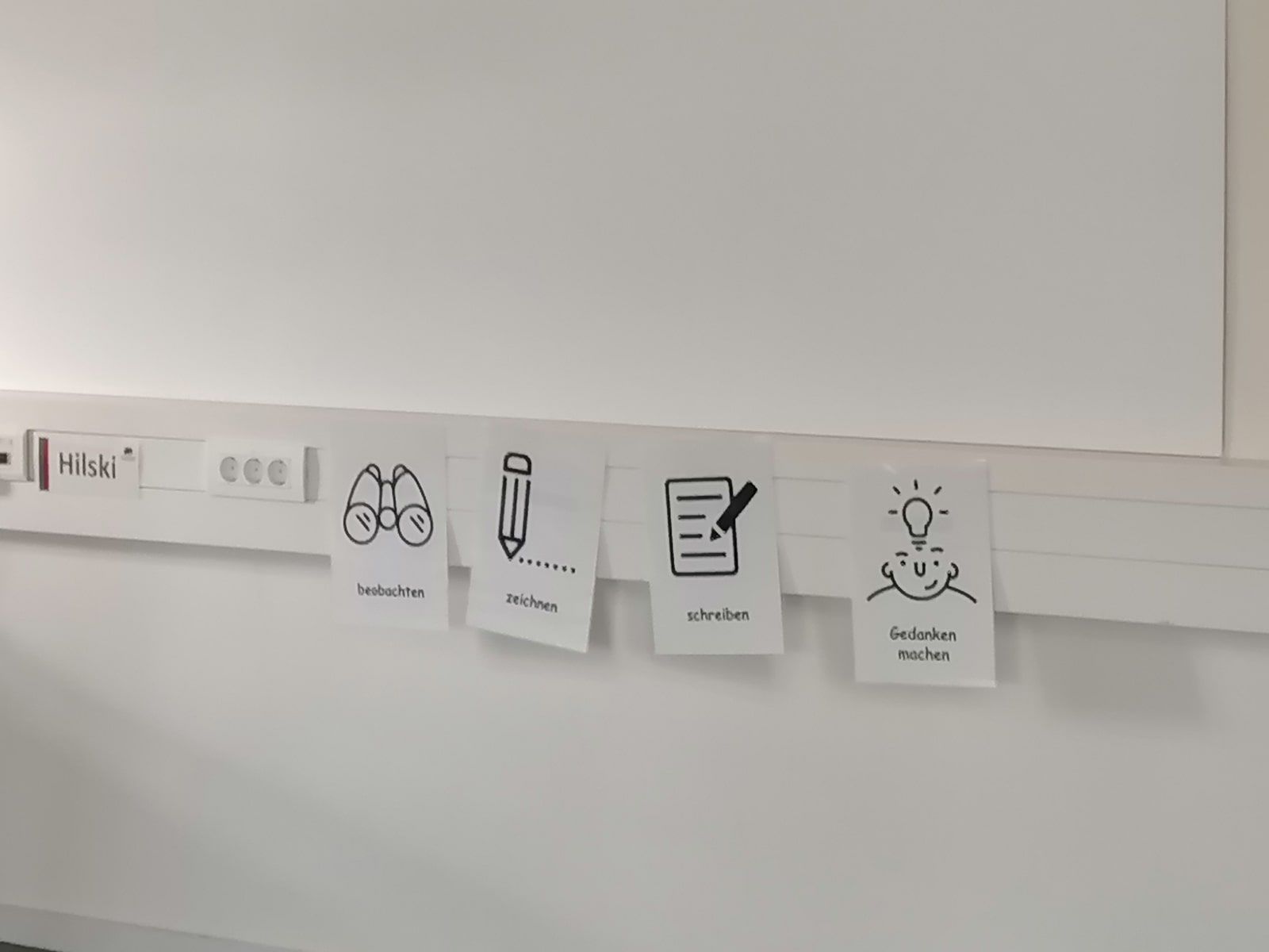 Delfine zum ersten Mal in der Zooschule - 1
